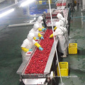 Iqf Frozen Strawberry Slices Brands For Export